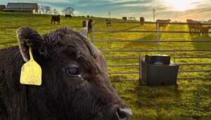 The Best Solar Fence Chargers