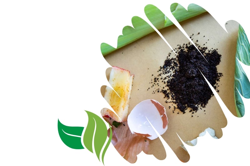 What Is the Best Browns and Greens Compost Material? Revitalize Your Garden