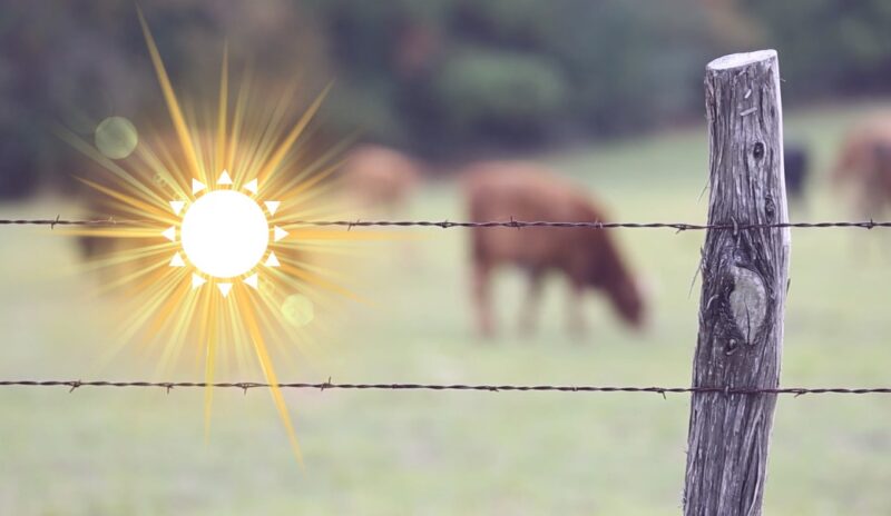 Best Electric Fence Charger For Cattle