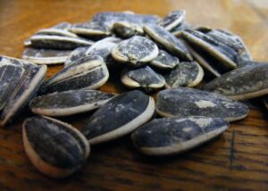 Eat Sunflower Seed Shells