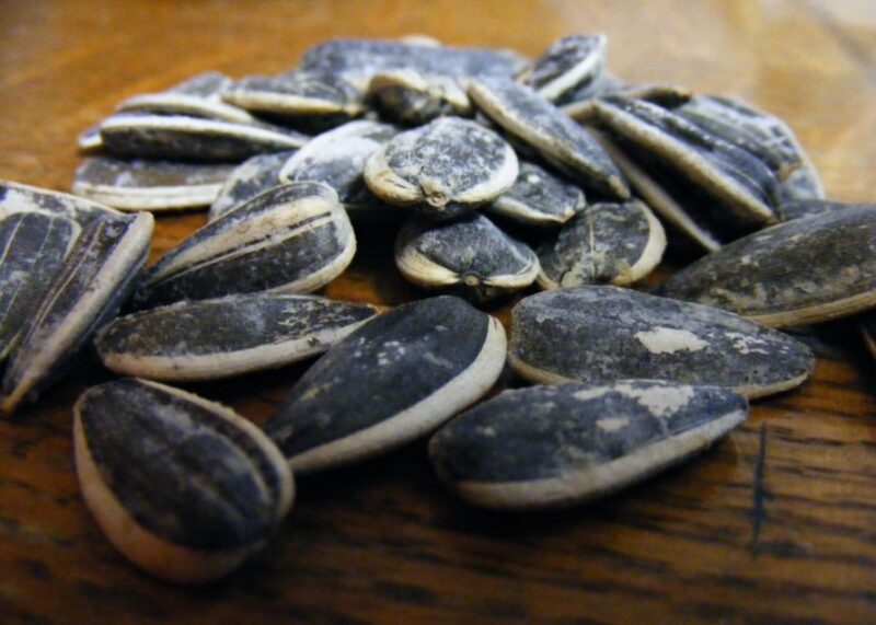Can You Eat Sunflower Seed Shells? Shell out The Truth