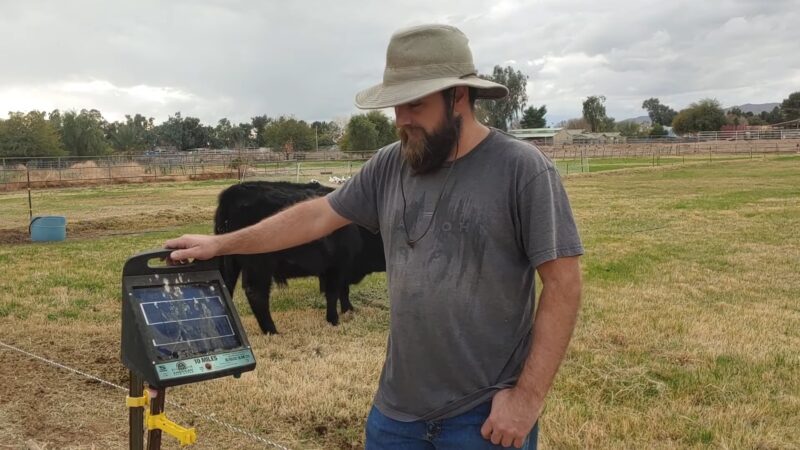 Electric Fence Chargers For Cattle